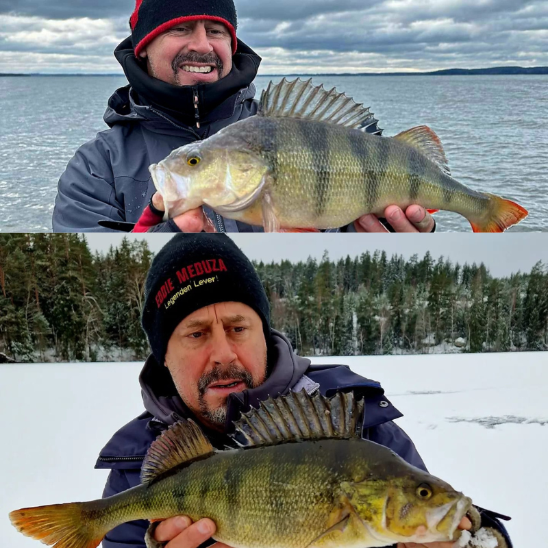 Håkan Frånnon håller föredrag om abborrfiske från isen och i öppet vatten